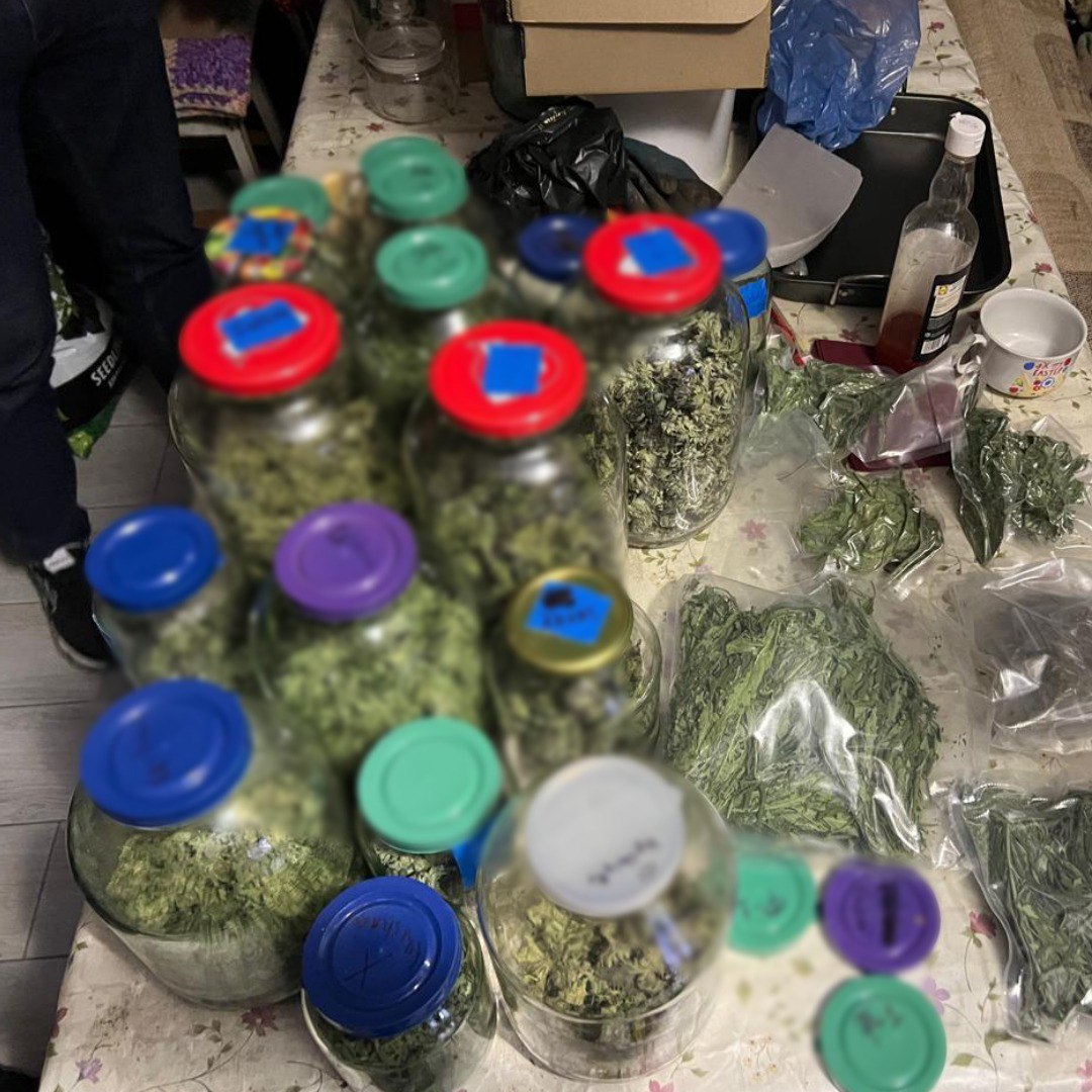 У Харкові викрито групу осіб, яка вирощувала та продавала елітну коноплю